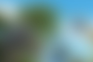 Фотография VR-квеста Джунгли зовут! от компании Навигатор VR (Фото 1)