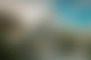 Фотография VR-квеста Джунгли зовут! от компании Навигатор VR (Фото 3)