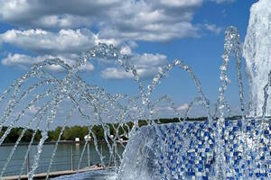 Фотография квиза Who is от компании Who is (Фото 1)